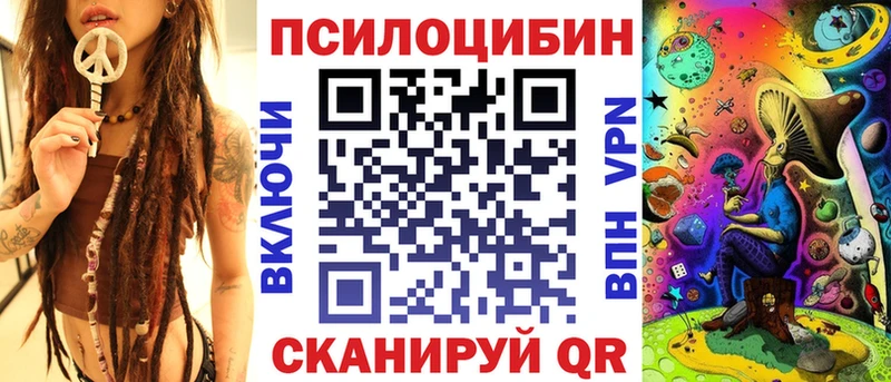 Галлюциногенные грибы Cubensis наркотики мориарти какой сайт Бакал